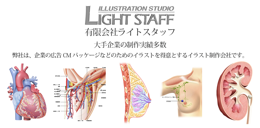 東京の医療広告等に使用する３dcgイラスト制作ならライトスタッフ