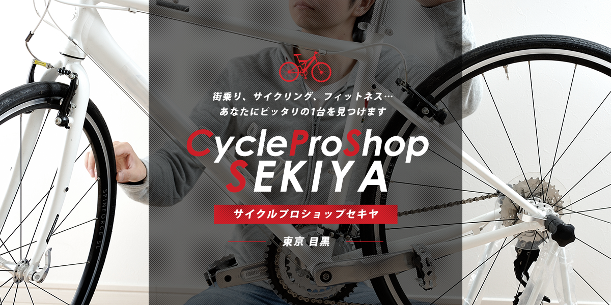 東京　サイクリング