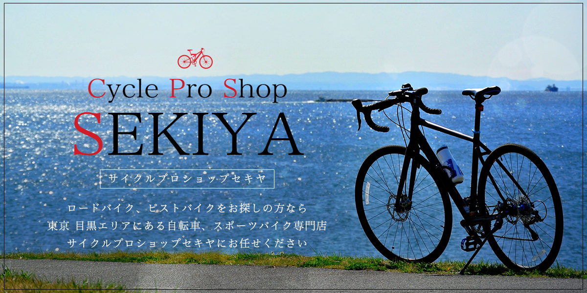 東京　自転車